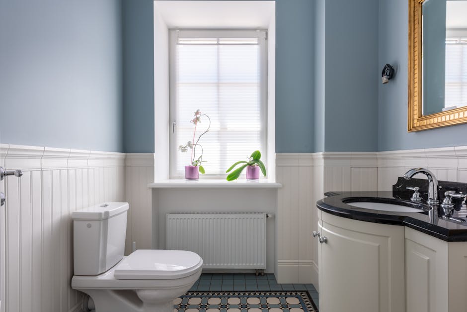 Toilet Repair & Installation in Carmel, IN - The Carmel Plumber
